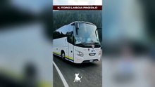 Cala il sipario su Pinzolo 2026: il Torino ha lasciato la Val Rendena