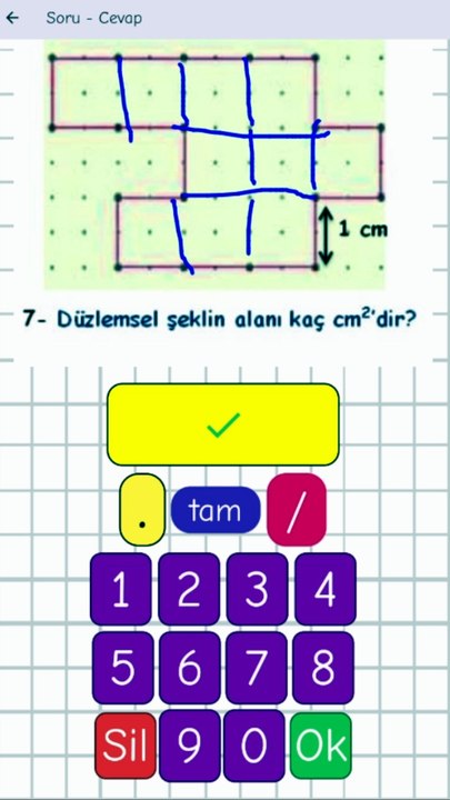 1.10- Düzlemsel Şek. Alan Hesabı (Şek.) - 5. Sınıf Matematik