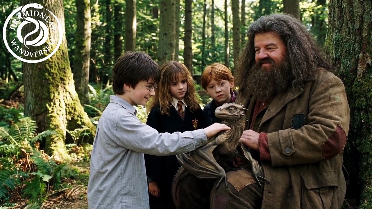 What If Hagrid Kept Norbert - Fire in the Forest - Harry Potter AU