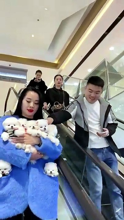 vidssave.com #All My Pets, One Big Hug#Caught with a Handful of Happiness#Fluffy Squad Goals 720P