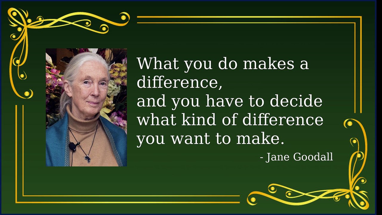 Unlock Your Potential: Inspiring Quotes for Success
