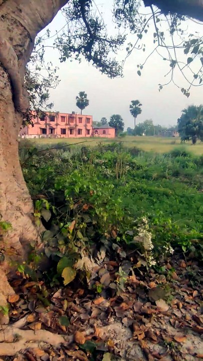 90 साल पुराना।।