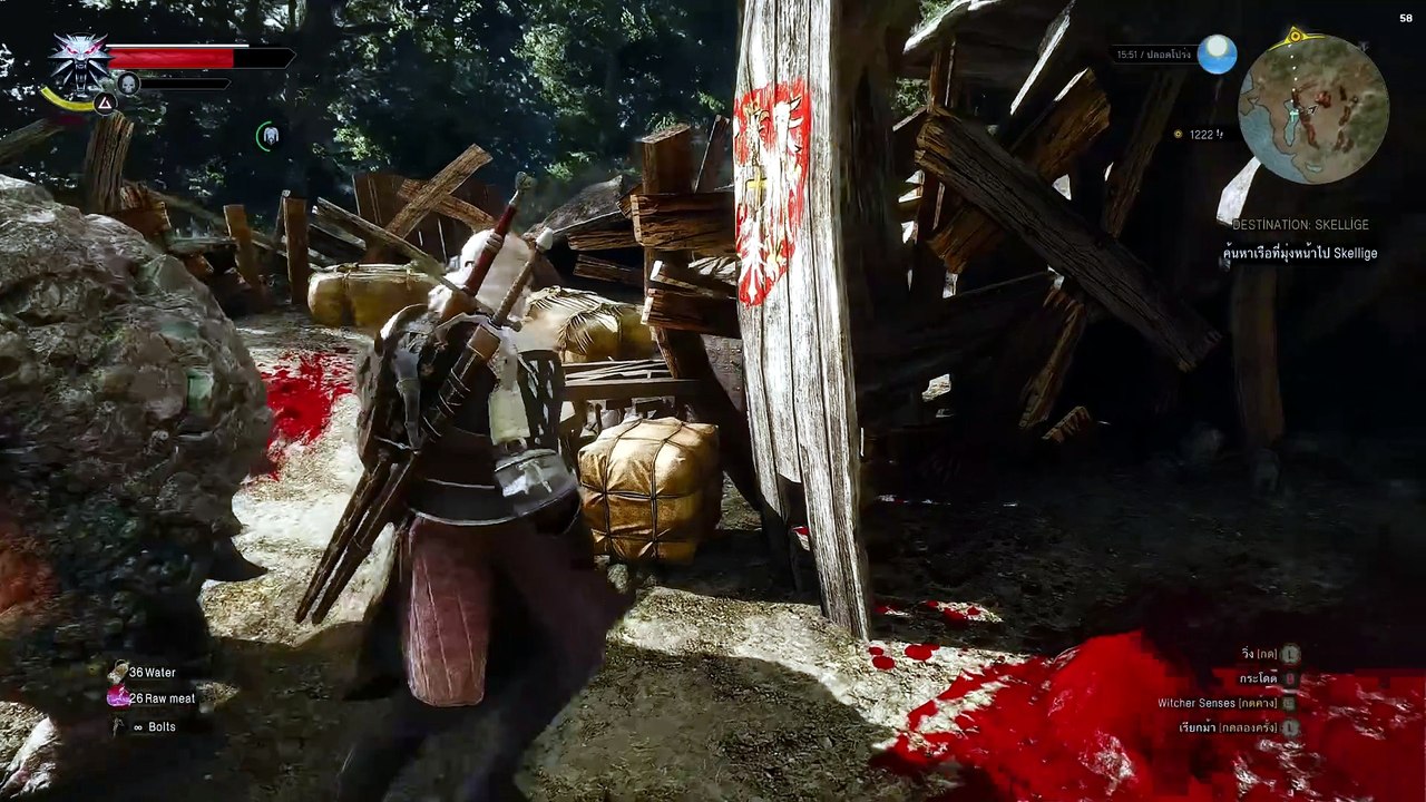 THE WITCHER 3 GAMEPLAY PART 43