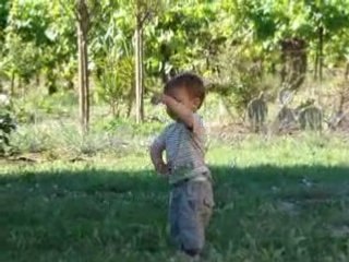 Descrubriendo las gallinas