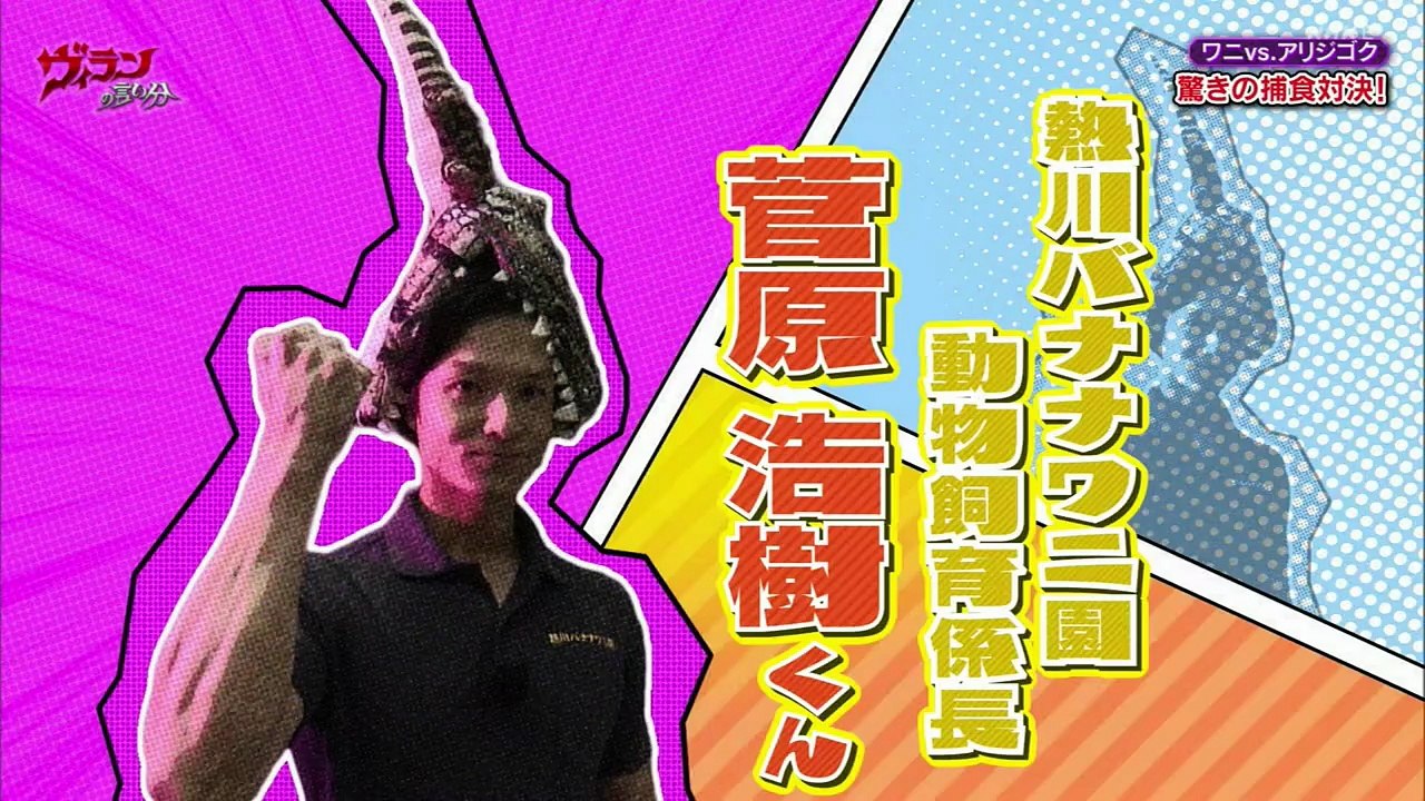 ヴィランの言い分 対決スペシャル ワニＶＳ．アリジゴク