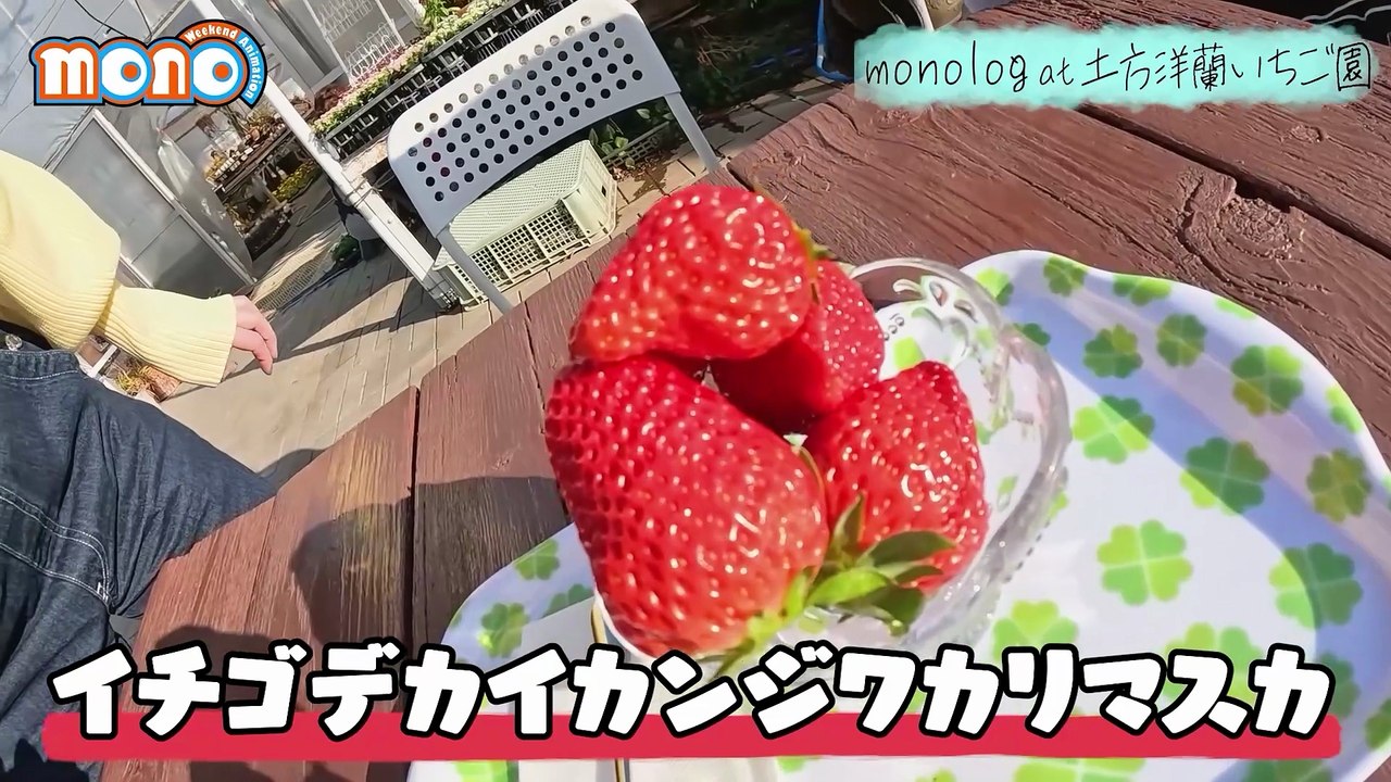 mono monolog #11 果実農園かき氷で夏を先取り！！