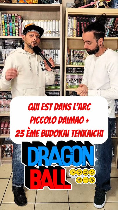 Qui est dans les arcs Piccolo daimao et le 23eme budokai tenkaichi dans DRAGON BALL feat orochi jidai
