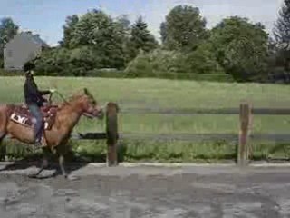 MOV00055