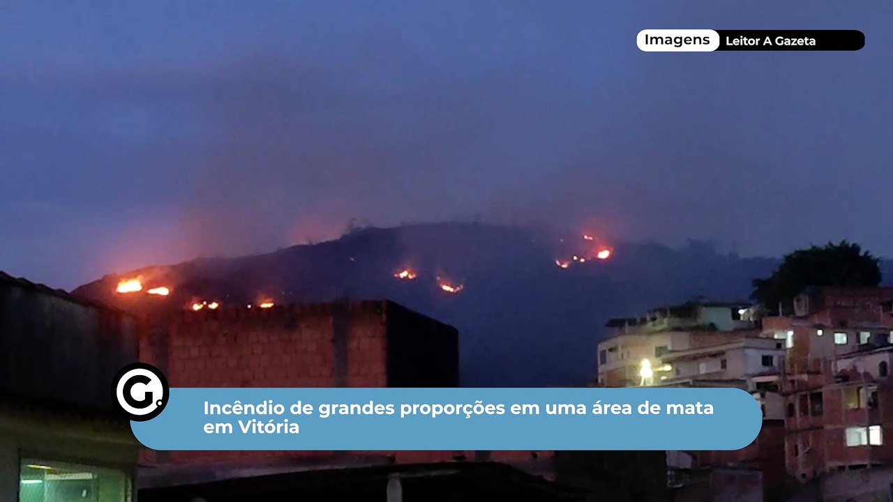 Incêndio de grandes proporções em uma área de mata em Vitória