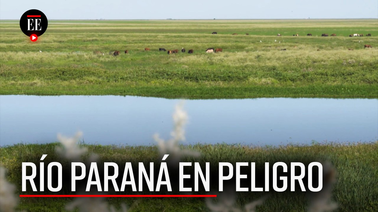 El segundo río más grande de Suramérica está en peligro