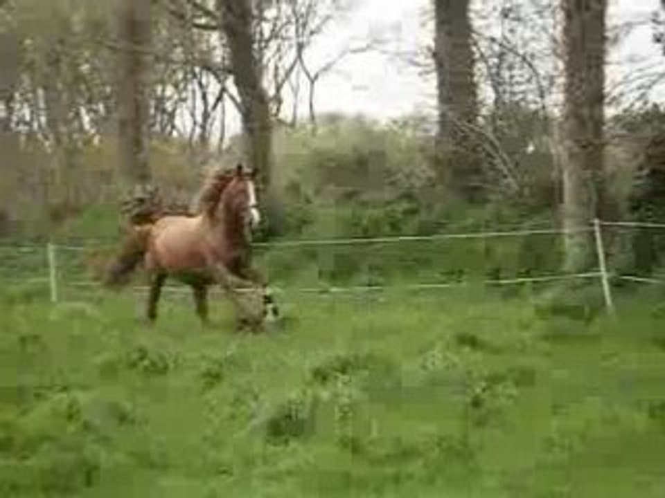 gégé fait encore son débile!!