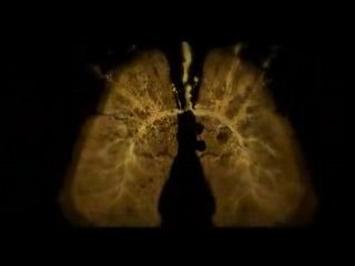 Bring me the Horizon - Pray for Plagues