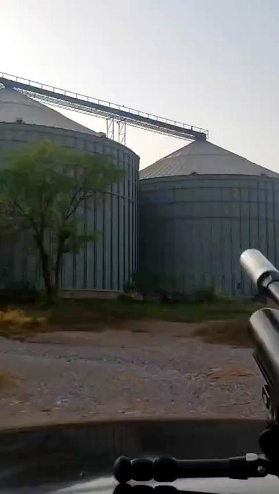 Pigeon hunting with airgun