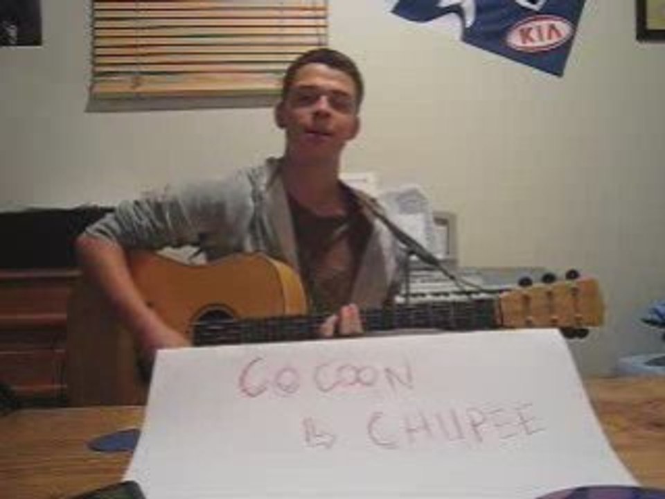 Cocoon - Chupee (my cover) - Vidéo Dailymotion