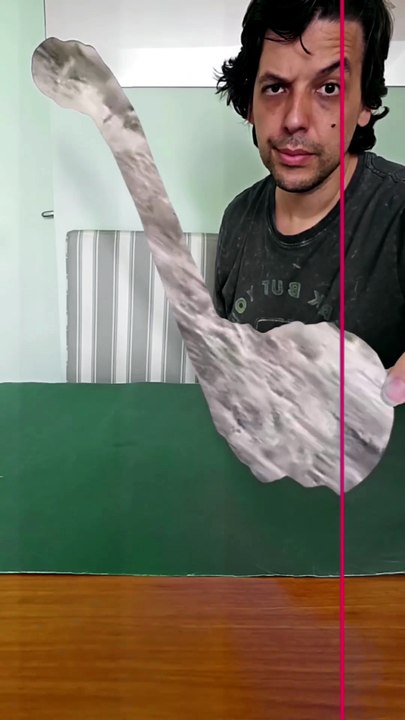Ballena Chida