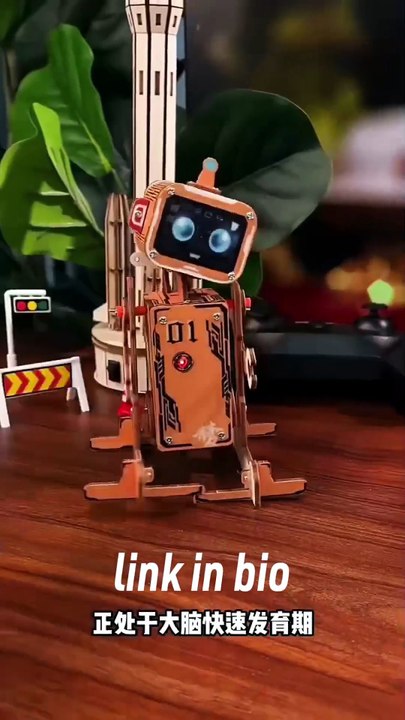 DIY Electric Voice Controlled Robot – DIY Science Experiment Kit & Educational Model Toy for Kids