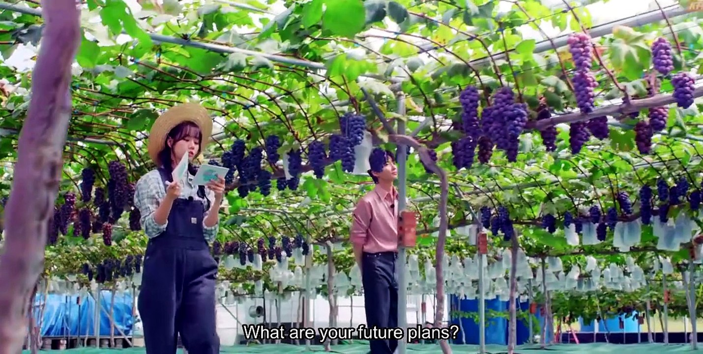 English Sub 💎 D.R.E.A.M T.O Y.O.U (2026) - Episode 2 ✨   Asian Series EN SUB