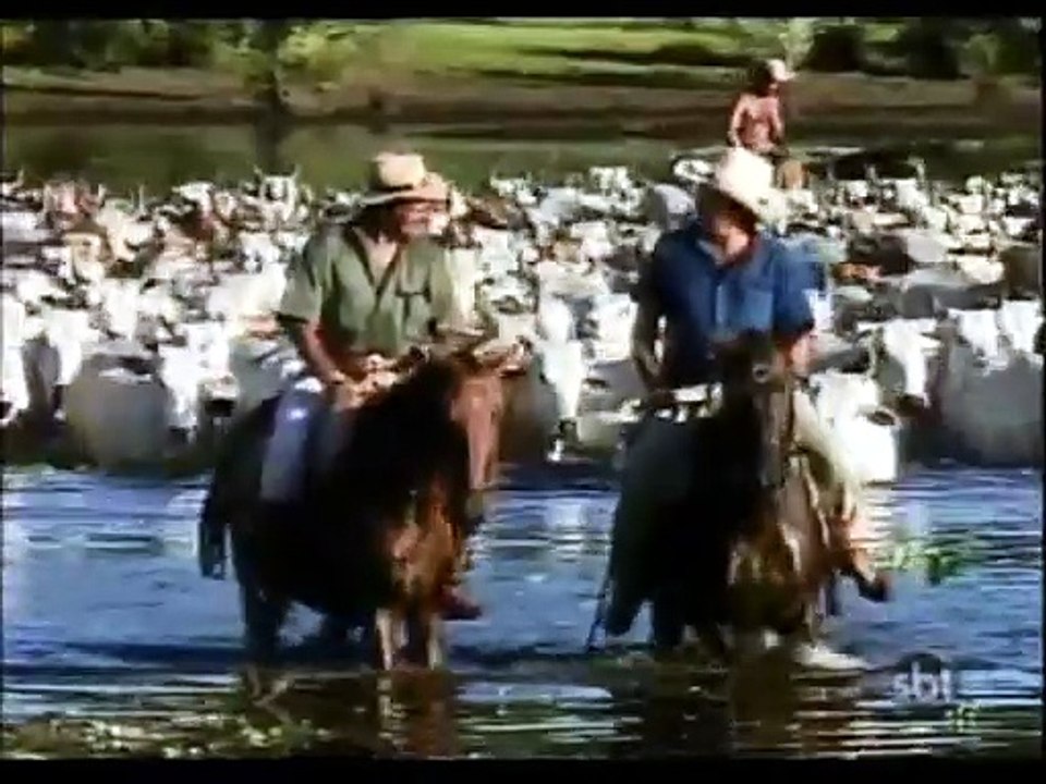 Pantanal - Capítulo 19