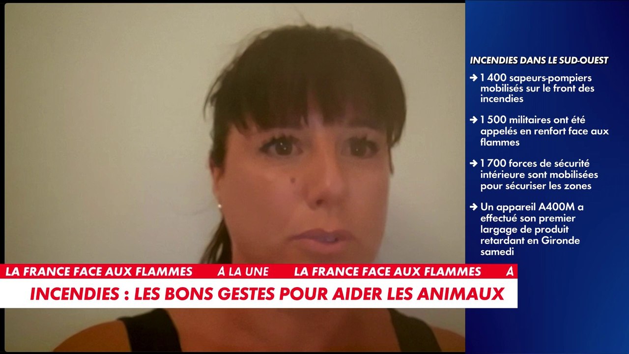 Marine Laullon : «Si certains animaux échappent aux feux, beaucoup meurent dans les jours d'après»