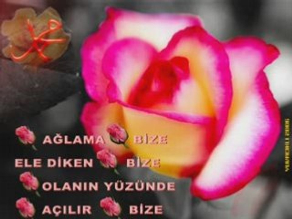 Anam