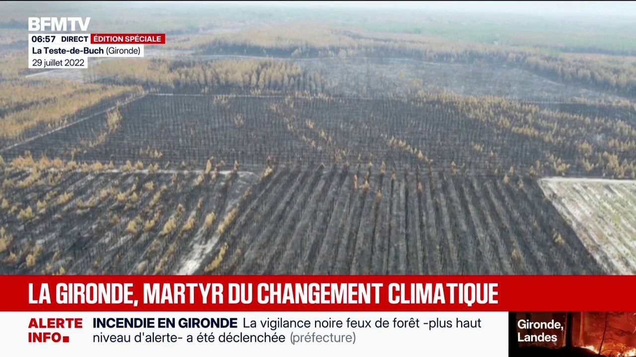 Incendies, inondations... La Gironde subit de plein fouet les catastrophes naturelles et les effets du changement climatique