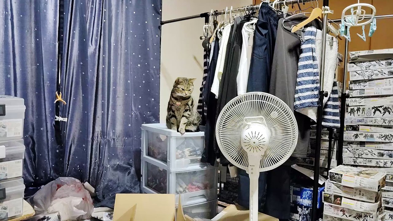 おやつに食いつかないココア