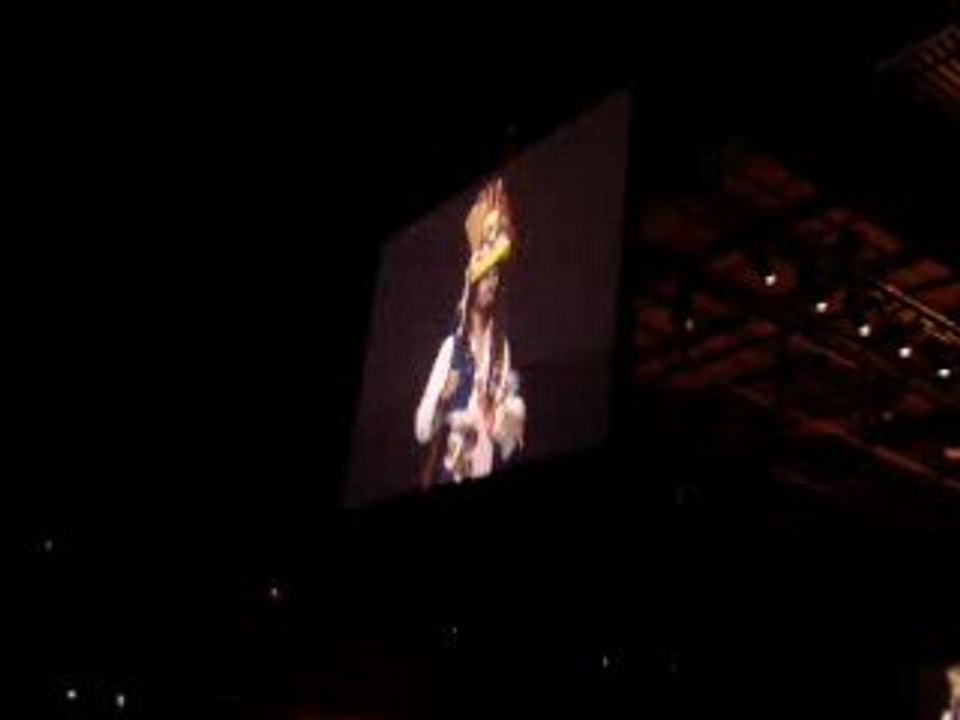 Japan Expo 2008 samedi cosplay Kultiverse Jack Sparrow