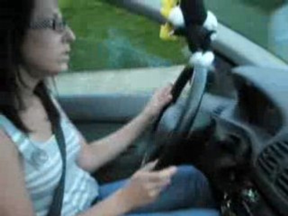 Arrivé au Essarts ptdr video3