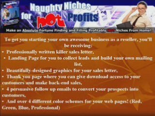 NAUGHTY NICHES FOR HOT PROFITS