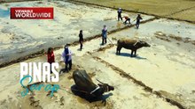 Ang pinakamaingay na tandem, nagtapat sa pag-aararo sa bukid! | Pinas Sarap