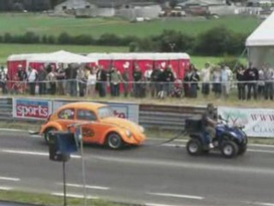 The European Bug-In 2