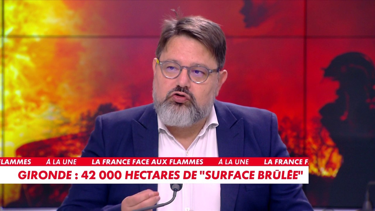 Olivier Vial : «On a presque autant de forêts que lors du Moyen Âge, mais on ne peut les entretenir»