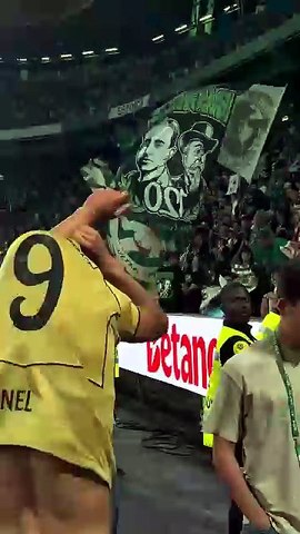 Rafael Nel