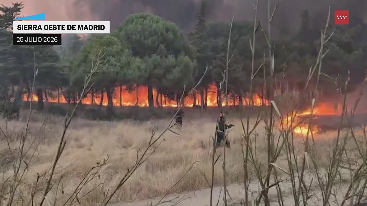 Las últimas imágenes de Emergencias Madrid, la UME y la Guardia Civil