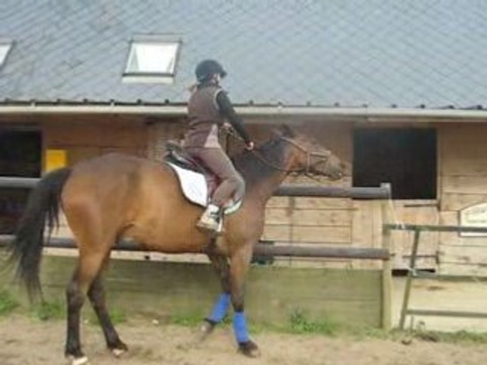 Nyamoko départ au galop