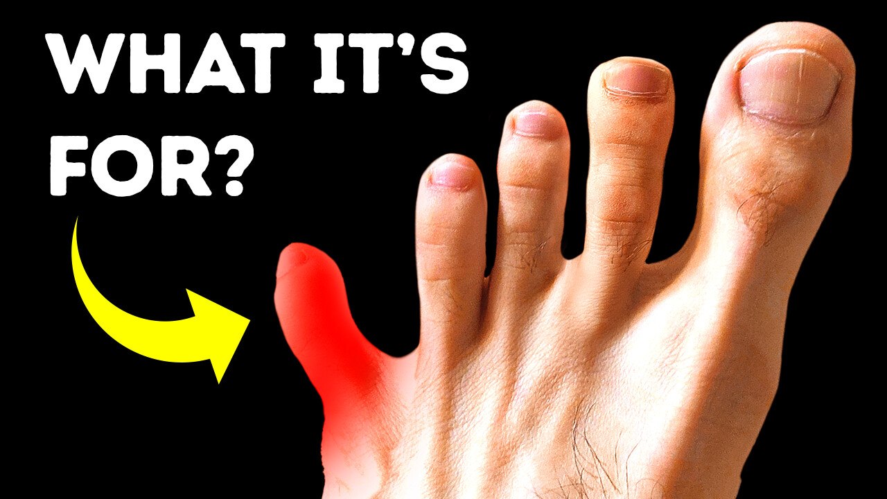 The Hidden Marvels of the Human Body