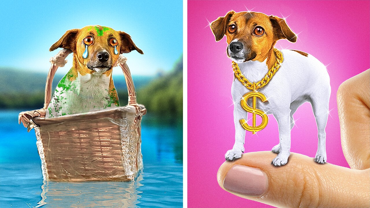 HELP! Save Tiny Dog! 🐶 *Rich Girl Builds a House For Poor Puppy*