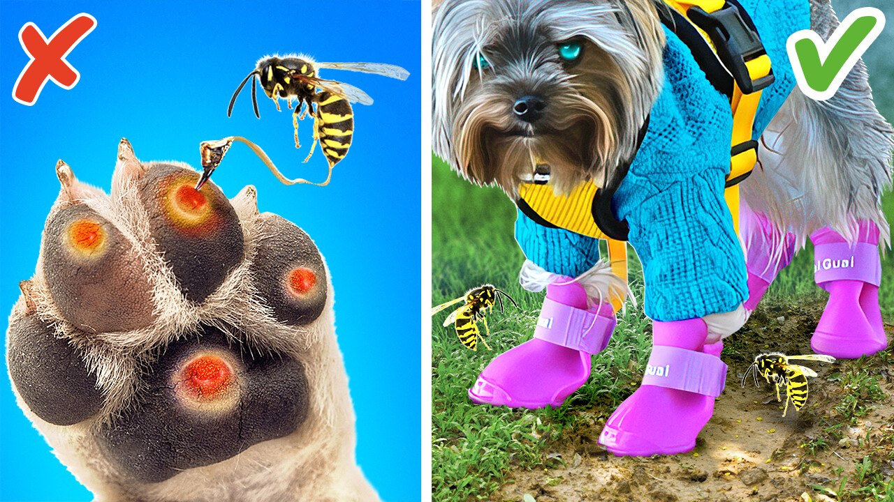 GADGETS VS CRAFTS FOR PETS 🐶 Rich VS Poor Dog and Cat Owners