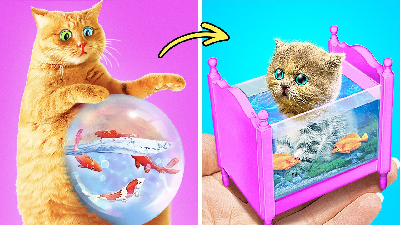 Mermaid Kitten! 🐱 Tiny Fish Tank For My Cat *I Built Secret Room With Aquarium*
