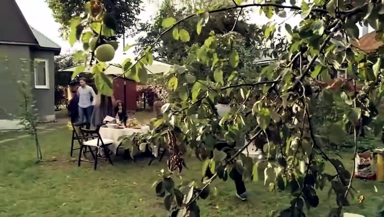 Роза прощальных ветров 2012