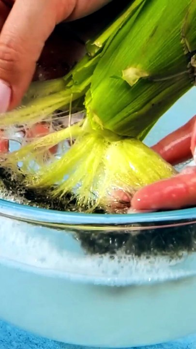 Fresh vs. Rotten! Simple Tips to Tell Your Food’s Condition
