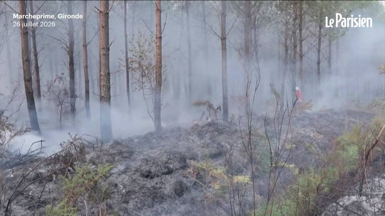 Feux dans le Sud-Ouest : Des pompiers venus de Paris luttent contre l'incendie monstre