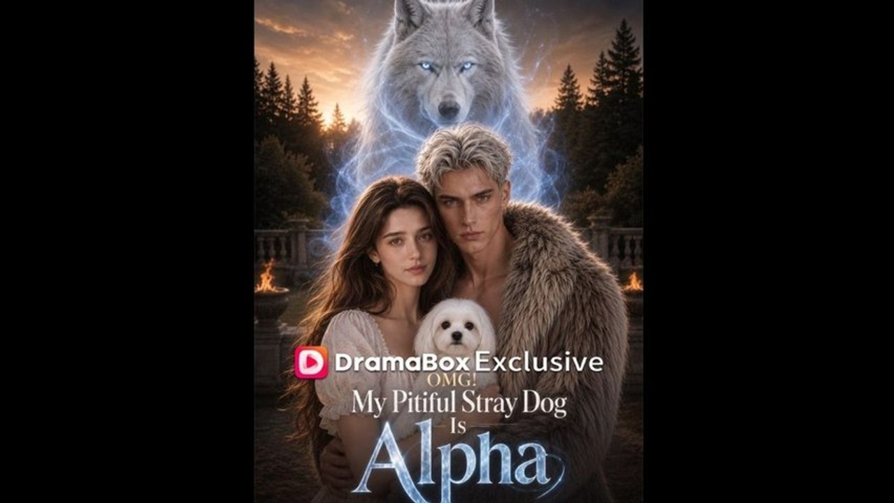 OMG! My Pitiful Stray Dog Is Alpha - Full Full EP (New Drama)