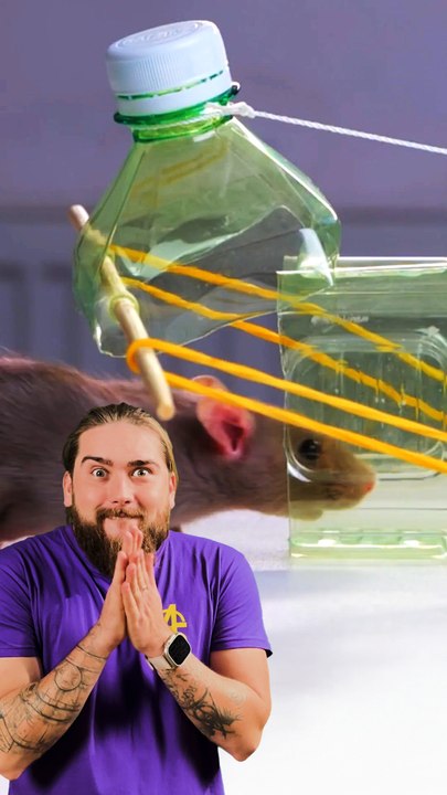 Sing some rap or Trap a Mouse Instead! 🐭😲