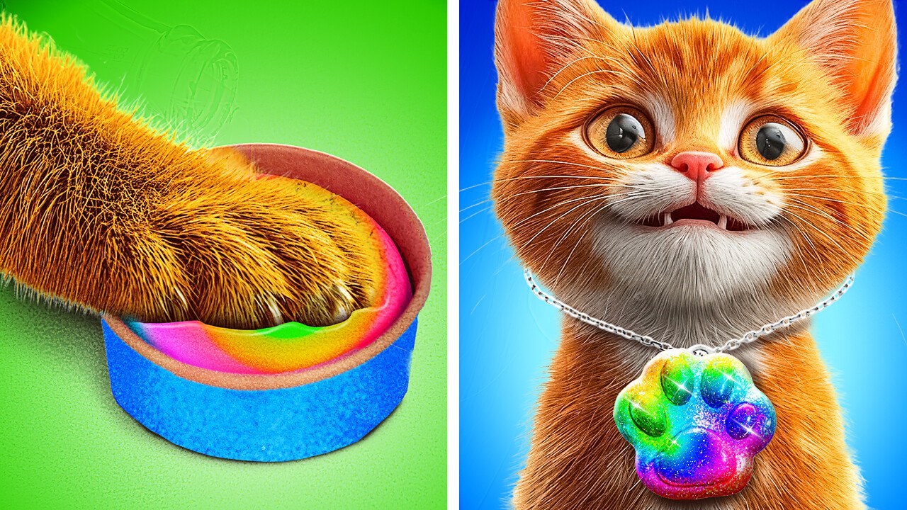 🐾💕 Must-Try Pet Gadgets! Creative DIY Crafts & Adorable Ideas for Your Kittens 😻✨
