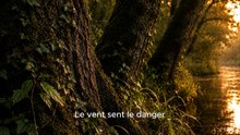 Arena Rock - Team Grenouille - Qui est la plus belle ici _