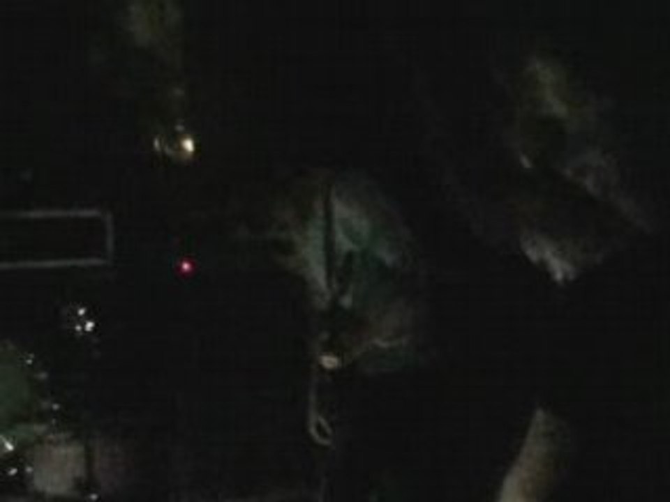 Amen-Ra "The Pain It Is Shapeless"