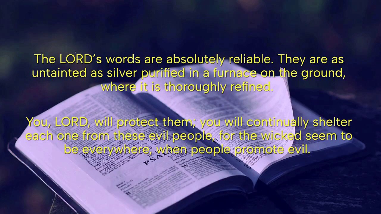 Evening Prayer, Sunday August 2, 2026