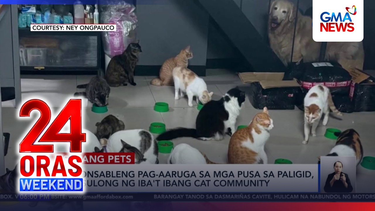 Usapang Pets – Responsible care for strays, isinusulong ng cat communities  | 24 Oras Weekend
