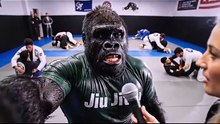 BJJ Siempre